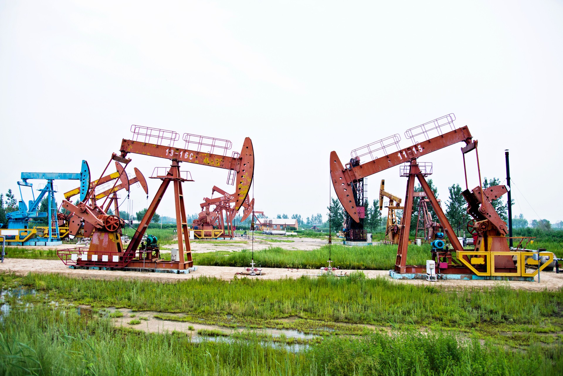 Group of nodding oil pump